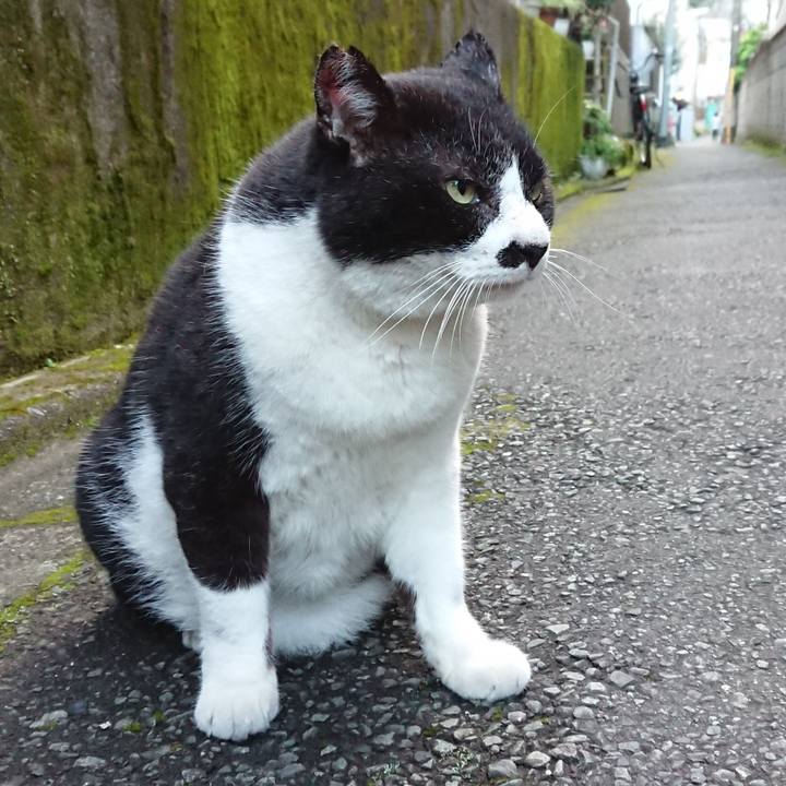 C9ed1b2a 6378 4f73 b27f d1c4249d7ca9 1627377518190