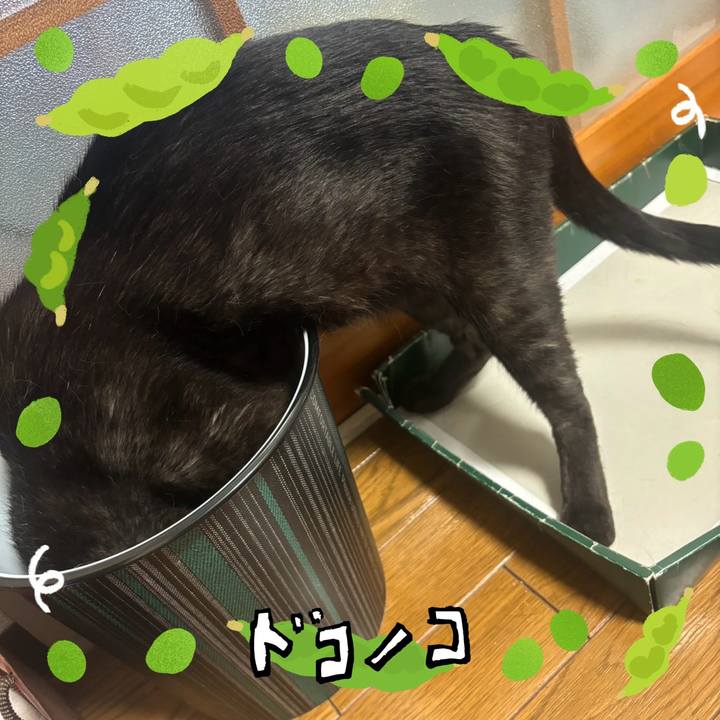 C9ed1eea 5ca7 4c61 bf63 382d27642b37 1720944176372