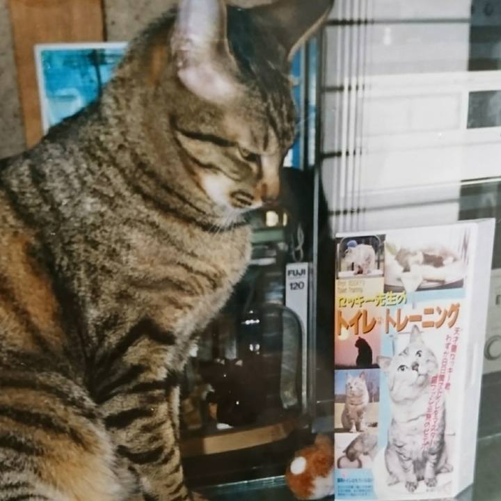 C9ed227b 7141 496c 947c 321443d7de3a 1558355894768