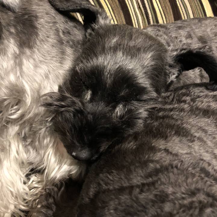 C9ed2b8c 1583 4491 8980 e6c55ed7a781 1580133368489