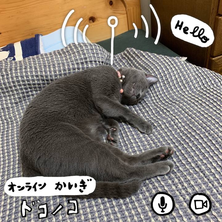 C9ed4693 e4b7 44bb 843d 09e7fc93dae2 1593692905257