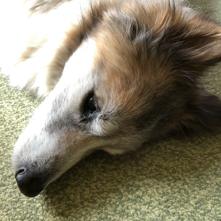 C9ed5c48 fdea 4bbc bda0 54267945f9a6 1551749689936