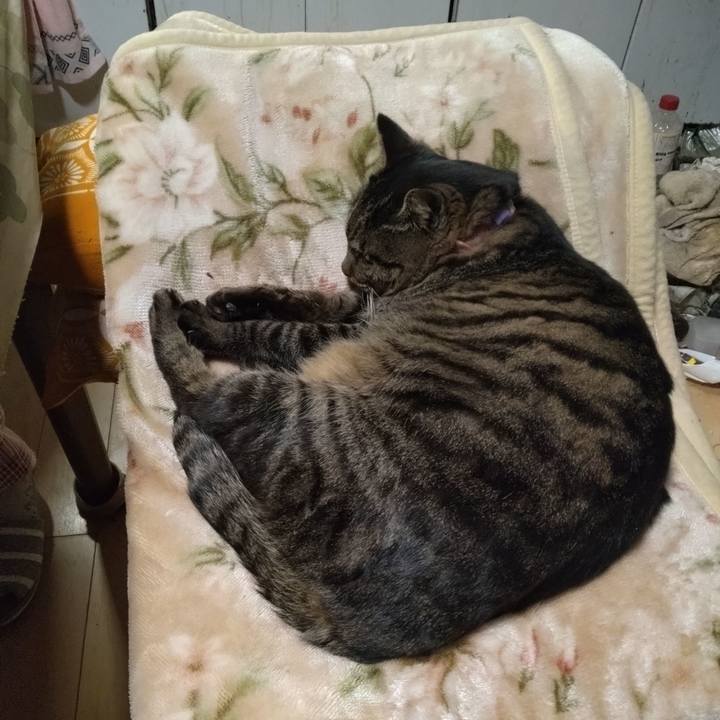 C9ed64f3 e919 43e1 b6f4 92a868798e46 1766918638604