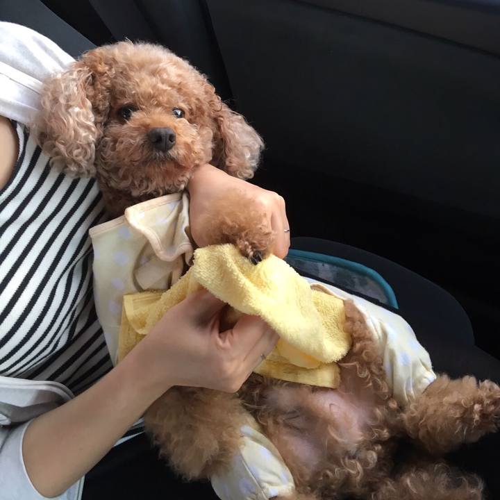 C9eddfaa 41e5 4568 b850 2b101f194f4f 1574401464580