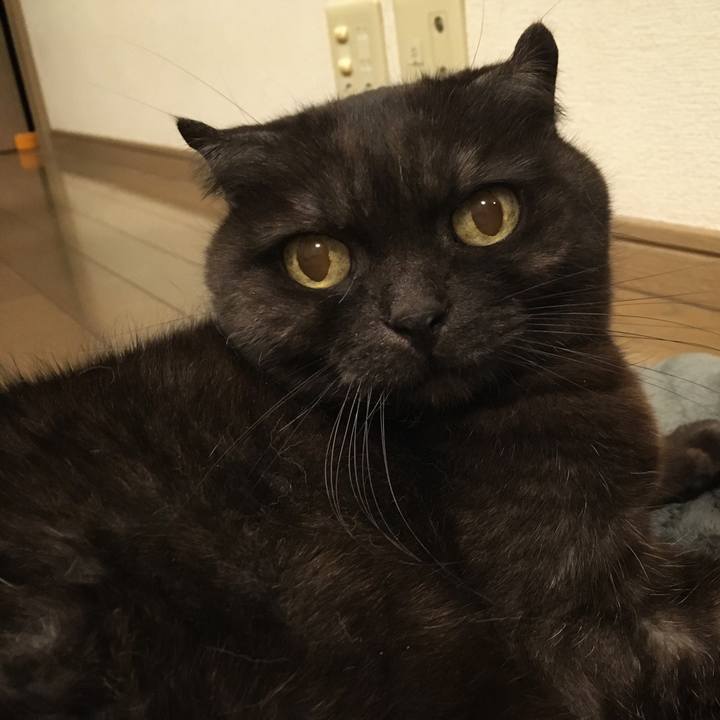 C9ee3340 9c91 46bf bc7e efe697a39dc3 1553915784472