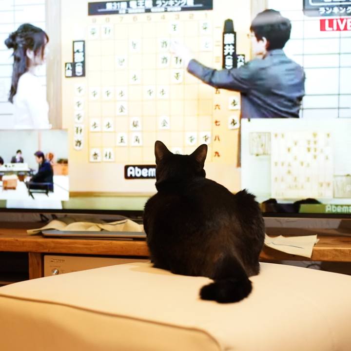 C9ee8f0c 6c1c 42f0 9066 f46b71fd036b 1519912413676