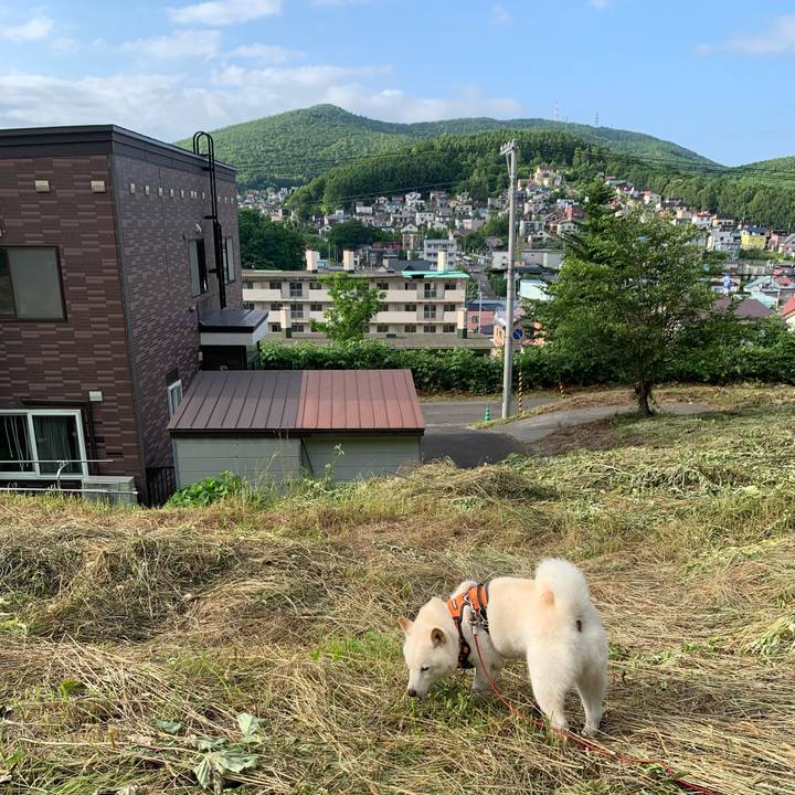 C9eeb64f 2d4f 42d9 bcd2 de537c80e046 1626117849990