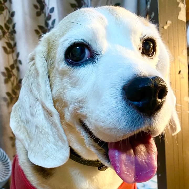 C9ef0015 3a34 4dfd a46b 03cbbd20dc9e 1665550223369