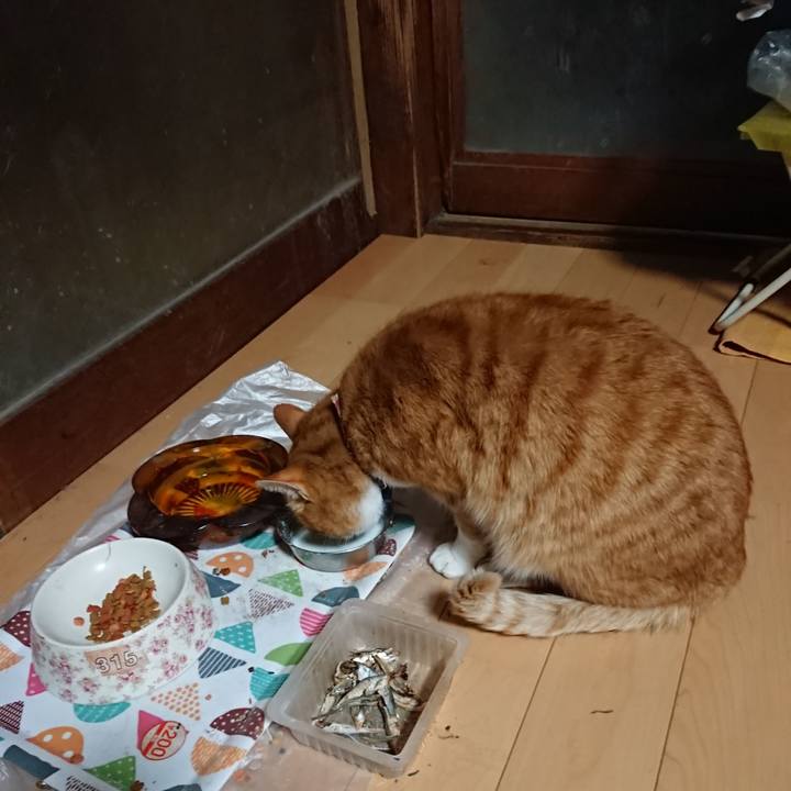 C9ef4a55 a05b 4a8e 908f e4147ce4e7e6 1608708469473