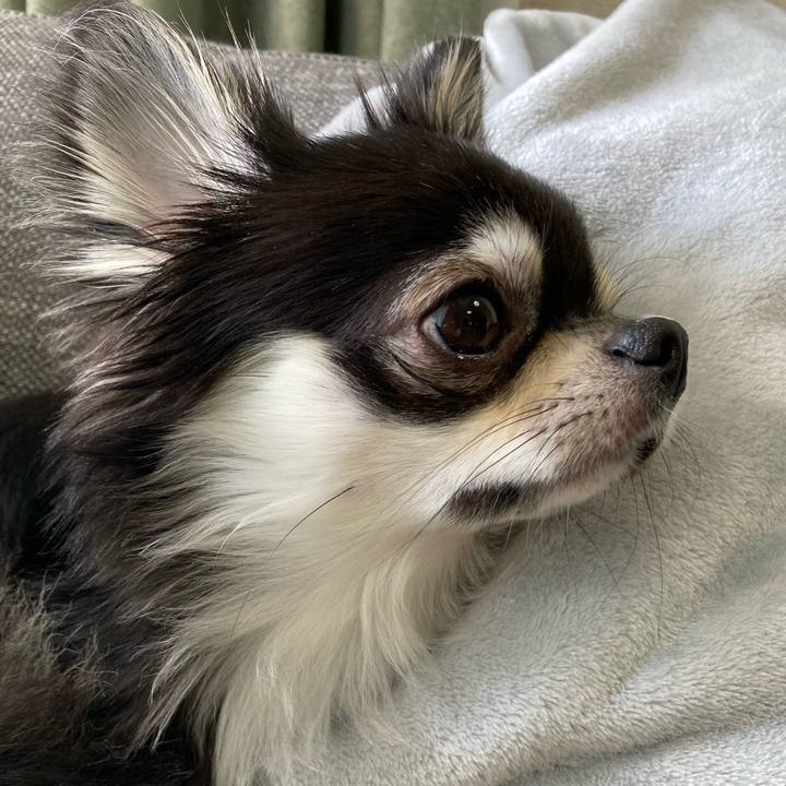 C9efc89e 0f06 4f20 9882 d10ae0786910 1622291827976