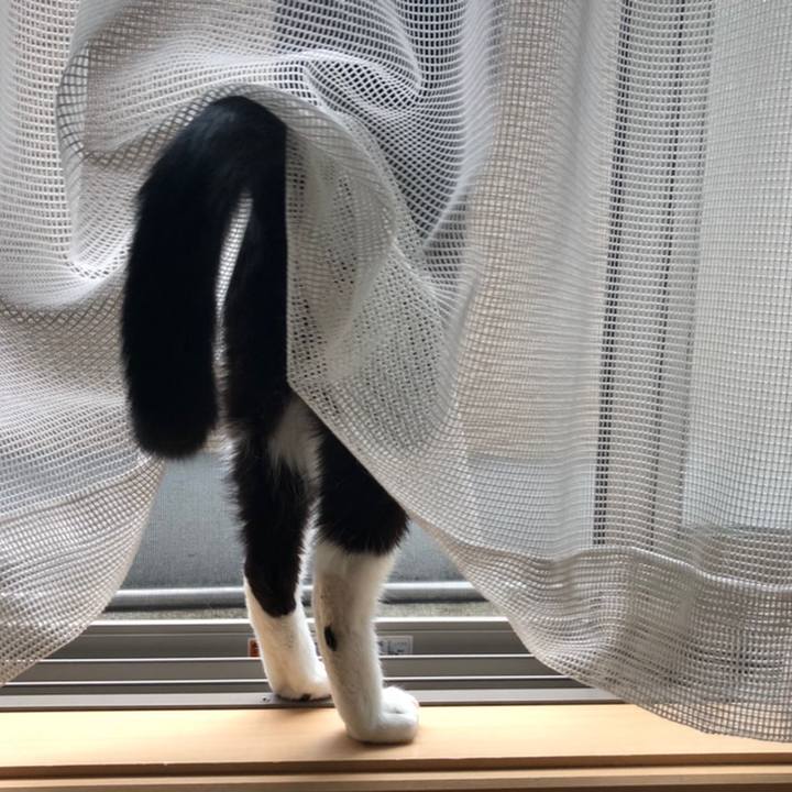 C9efd431 202d 464b a524 cbb0667bc06d 1558190882929