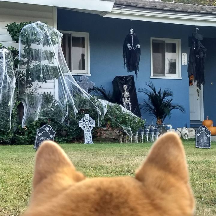 C9efd6af de0c 4a42 8687 a45e40369033 1508297166787