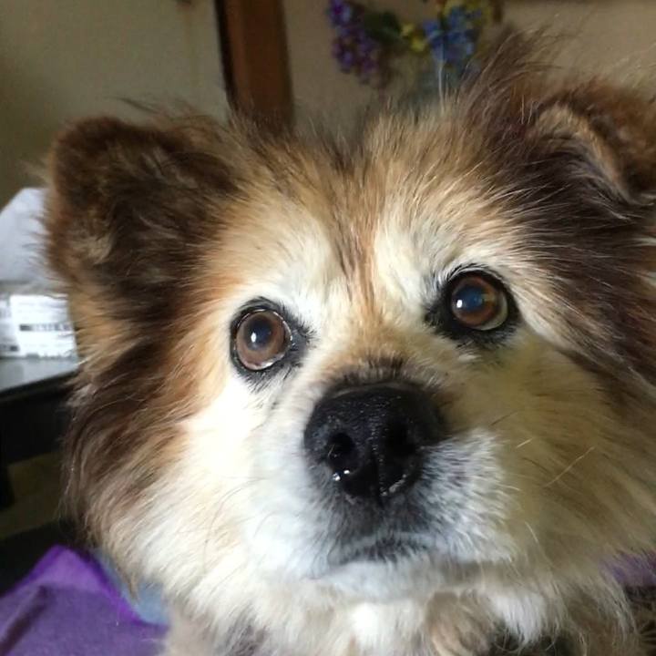 C9efd9e1 c6ac 406f 8259 72d4c3c72c70 1565826530749