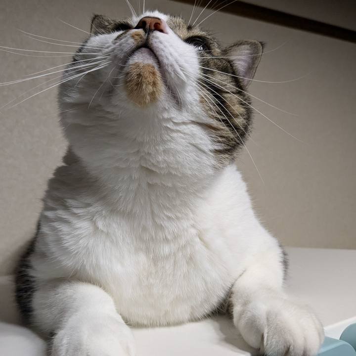 C9efda81 24fe 4424 a7c9 f57c92edba60 1727098310622