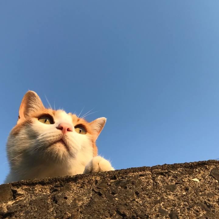 C9efe79b d071 40f4 b8f2 f19a09c8abed 1528019982115