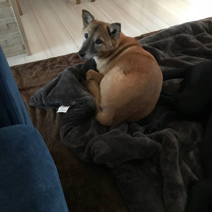 C9f00f60 ecc0 46e3 9e21 4b9abcbb44cb 1516762599374