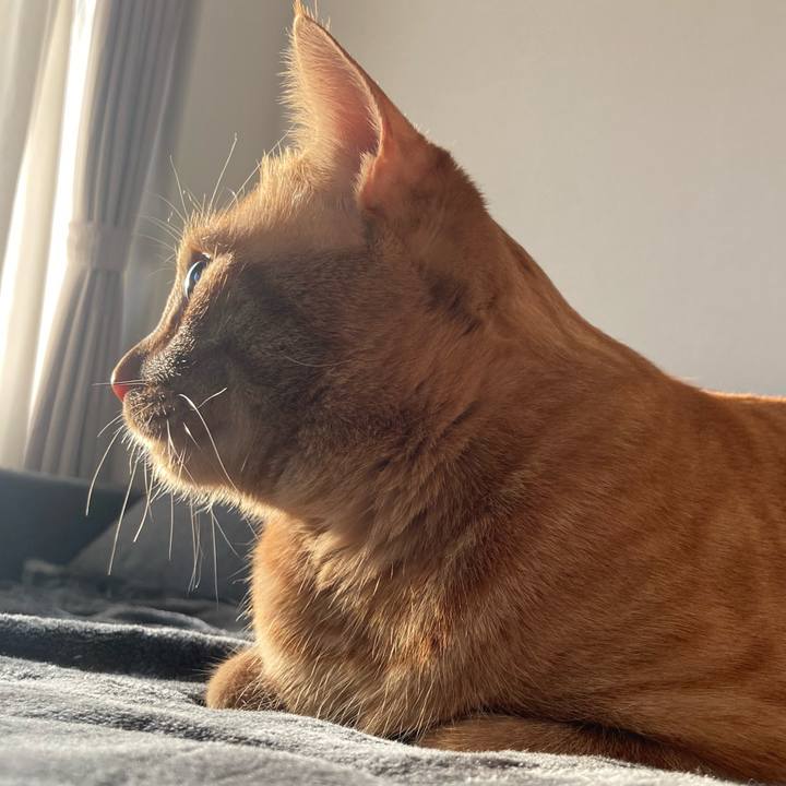 C9f00f9d ca00 45b9 9b83 884d8ad4cbd4 1613805801139