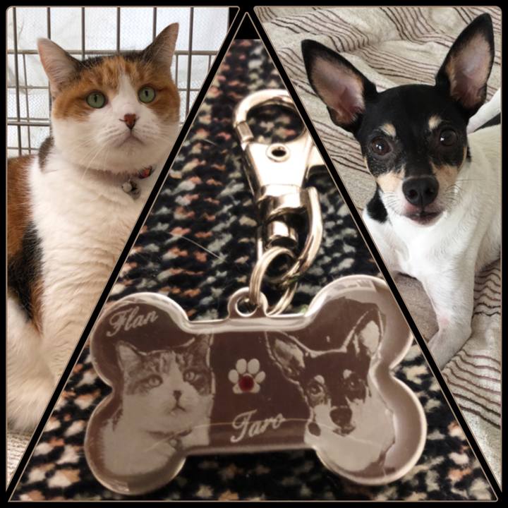 C9f02b62 fe1d 41d5 bb08 16aba82b3ee8 1545307859493