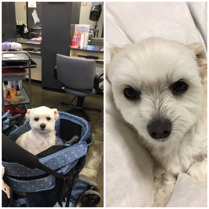 C9f06003 ccd9 4804 83f5 a2cf01f72c8f 1557311521398