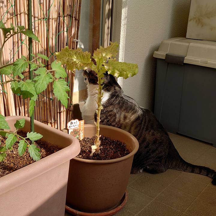 C9f078b6 e061 4cad b44f 1f5100dcde7f 1620089060538