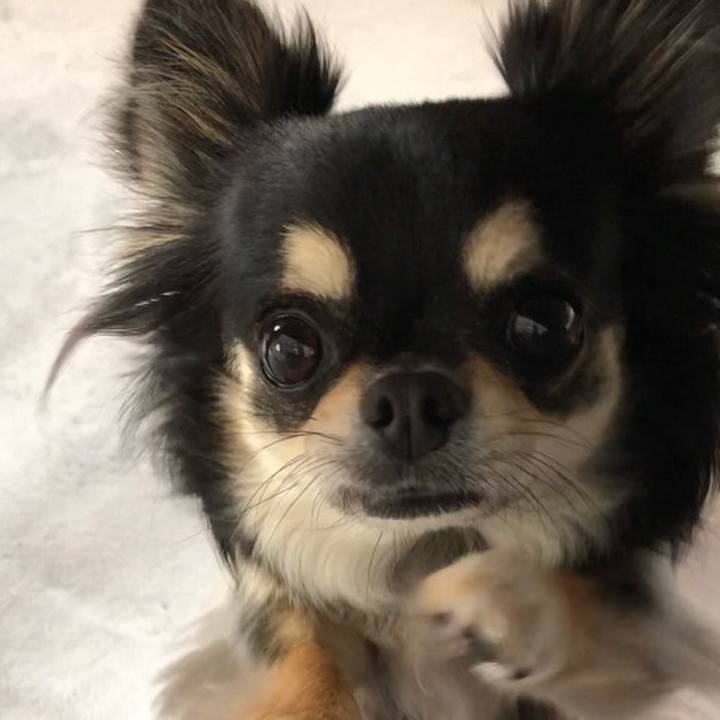 C9f08164 2681 40a4 a392 8489b532520b 1593401978717