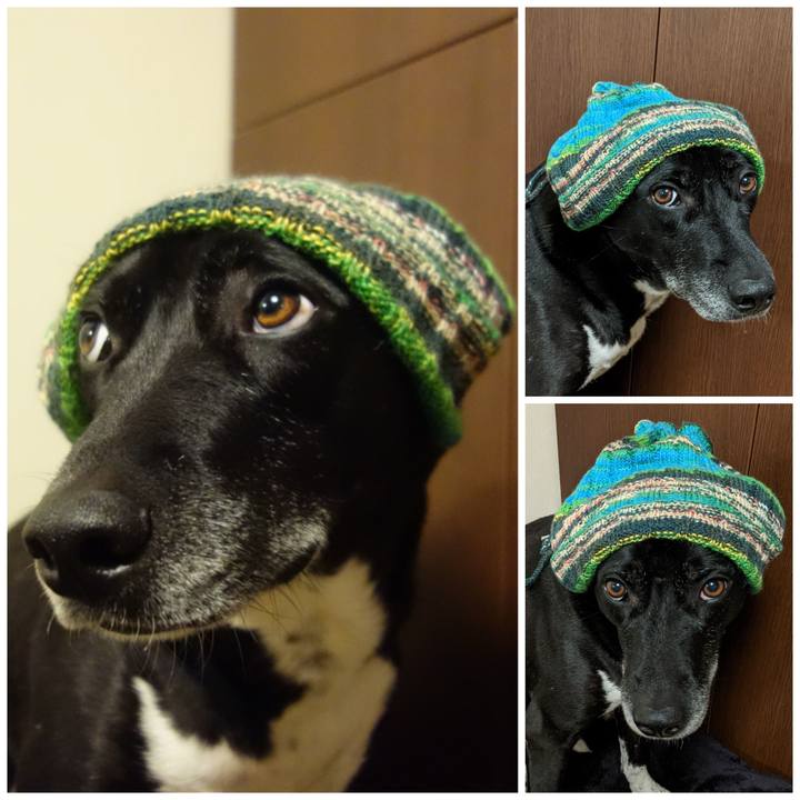 C9f08c41 7371 4012 bc7c 8e8fa8caeb4e 1673175890824