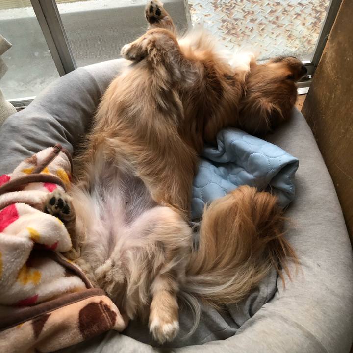 C9f0bde8 9b82 4a3f 998a 51b01ca6a124 1569878715257