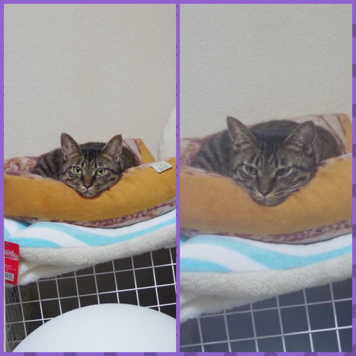 C9f0d629 6baf 4aa2 8e7f f3ebe8a77f78 1574616863888