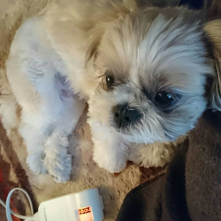 C9f12a96 2bf0 479d aa1c 171805d7cf1a 1542439836742