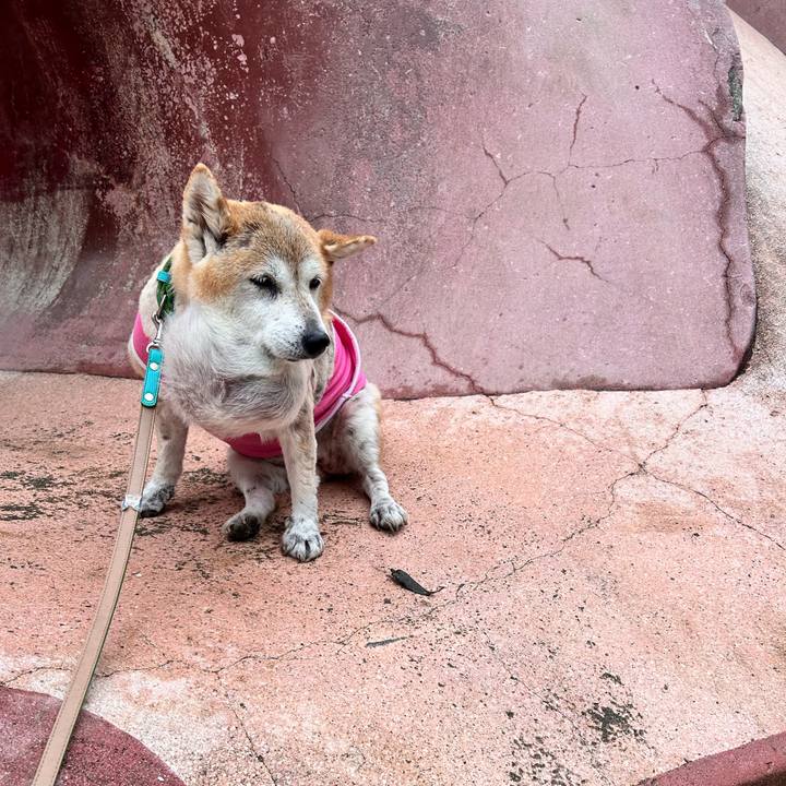 C9f1473f 989b 46ba 8ab8 267c8a845f02 1761100452757