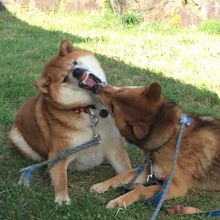 C9f14ace c925 46a3 abe0 2506b67da212 1530467800075