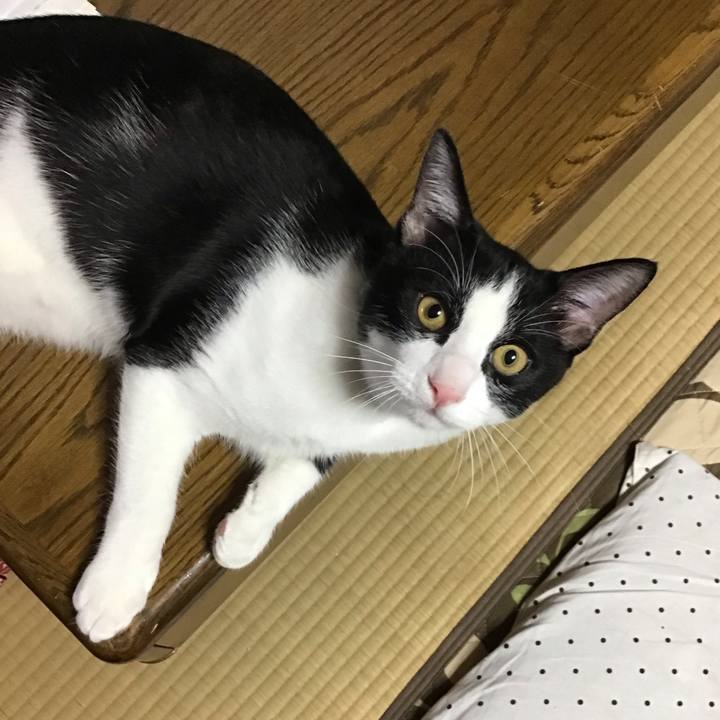 C9f154ae 671d 45da bb5f 84e39b2a9cc9 1633857727965