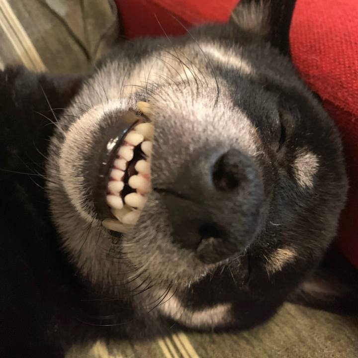 C9f15a57 9873 4c8d b0e1 0b335bbaa092 1570456275291