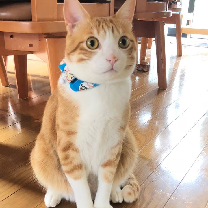 C9f16359 e83d 48a8 a71a 7fb37001ab7e 1532087277564