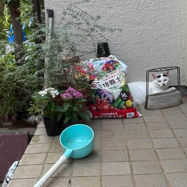 C9f1758f 662b 4683 a368 1a982cdeca61 1723682155028