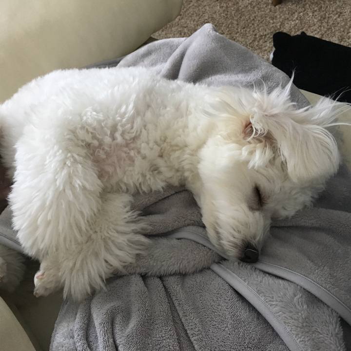 C9f1b51b 7041 4afa 827b 3a954280a6f8 1510456062590