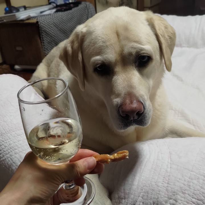 C9f1cac8 7831 4164 9dc4 f2efa76dd747 1690810273749