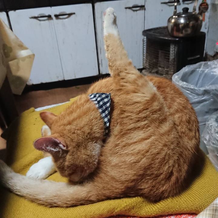 C9f20141 d090 4b8f 9f1f 5be5ac54aefe 1570103908884