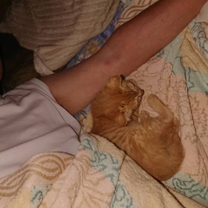 C9f26ecb 3393 40e8 b727 d7581e253f54 1627778974362