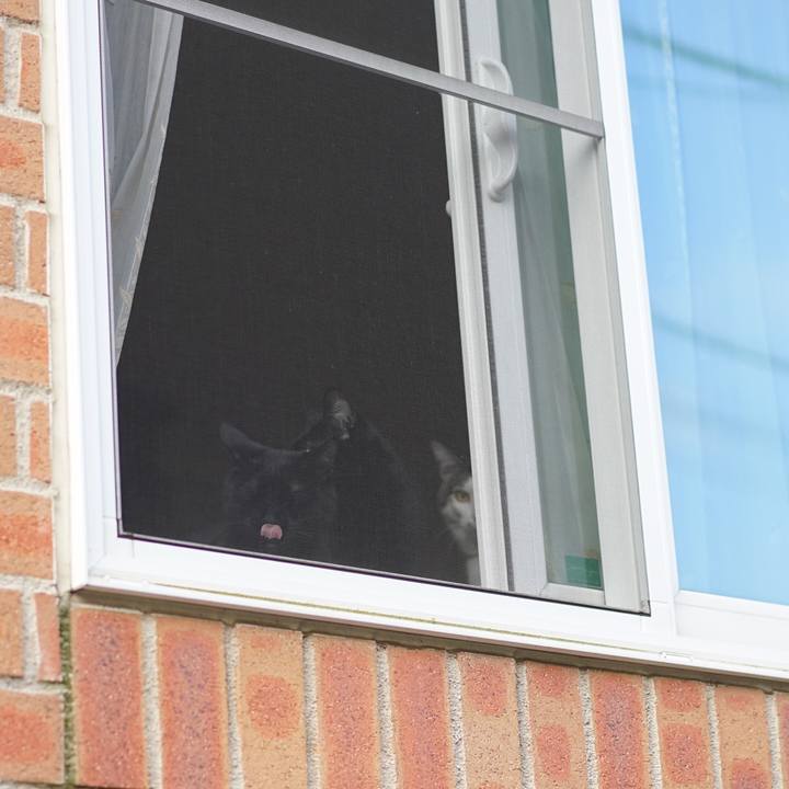 C9f2b9cc 4cec 4558 9981 d11c5fcefb95 1555545765958