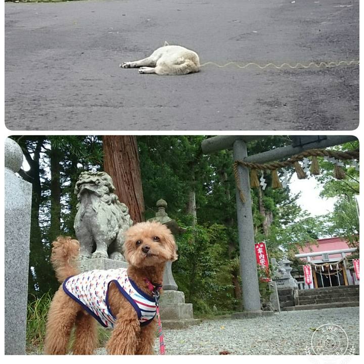 C9f2cfe7 3895 414a bc35 3aba766af2d5 1527833453202