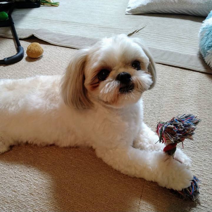 C9f2d1e9 4d52 422e b4f8 7649f4094484 1631069633187