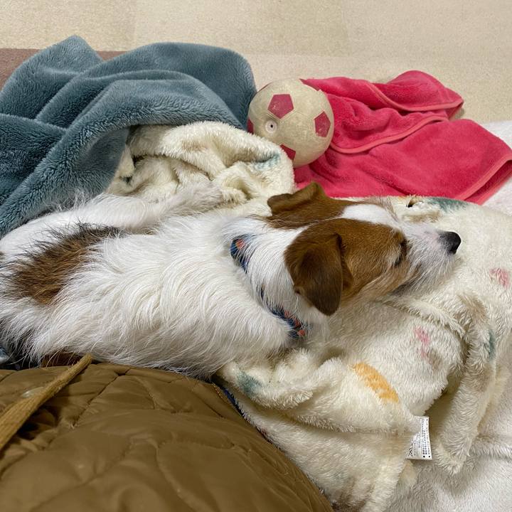 C9f2f3da e0d2 4e23 b3b8 a1088b9551e5 1739623873391