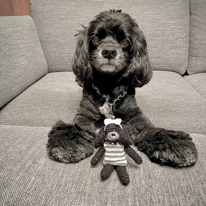 C9f2f3f6 4dd5 4e73 b32d 0469c3186fc4 1659403562825