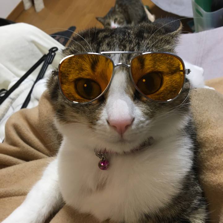 C9f2f73a 7990 4bf0 ab17 e1c3dda3a3d5 1674865406484