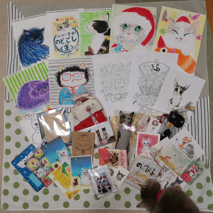 C9f330ff 0383 4bfb 9e6a 3e5560576849 1609941927724