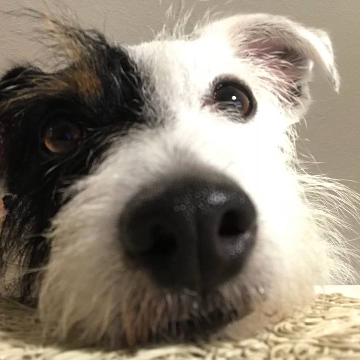 C9f33337 67eb 436e b36a 1b9a26811430 1531140086939