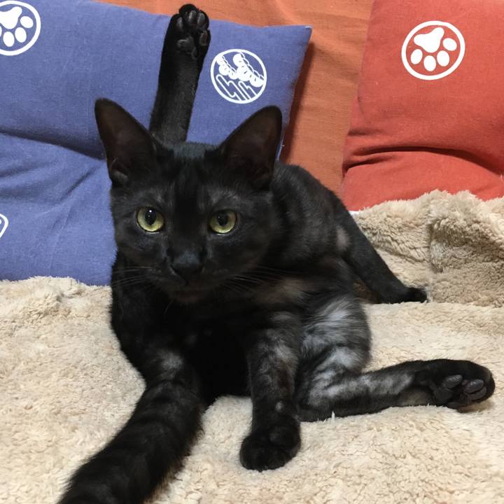 C9f33d0f 575f 41dc b874 2c13d2be50db 1551916013858