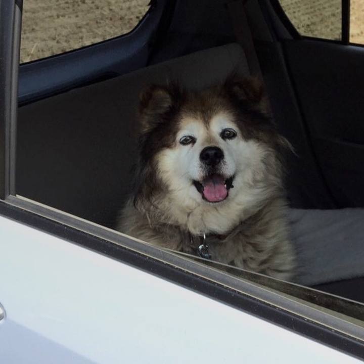 C9f34c12 adfc 4b5d 84a7 31b431ee32ae 1591002861230