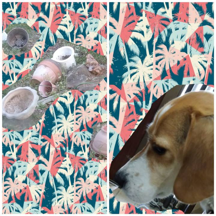 C9f350f6 9724 42c0 bd4e 463f365a76fe 1587720629793